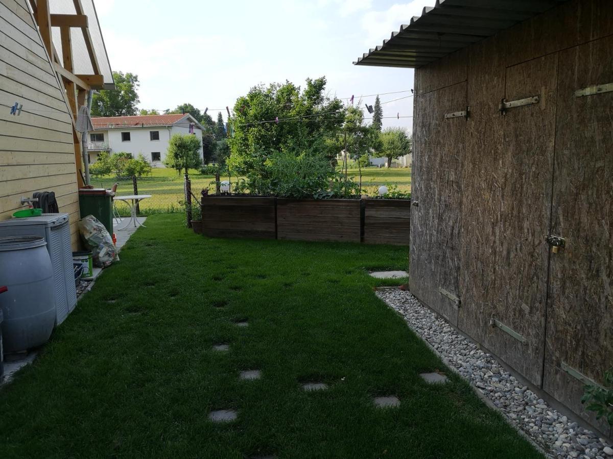 הוכסט Ferienwohnung Tannenblick מראה חיצוני תמונה